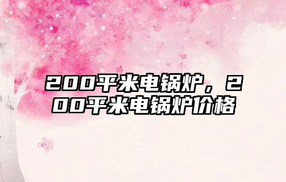 200平米電鍋爐，200平米電鍋爐價(jià)格