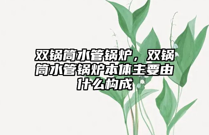 雙鍋筒水管鍋爐，雙鍋筒水管鍋爐本體主要由什么構成