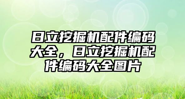 日立挖掘機配件編碼大全，日立挖掘機配件編碼大全圖片