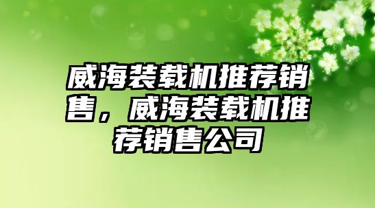 威海裝載機推薦銷售，威海裝載機推薦銷售公司