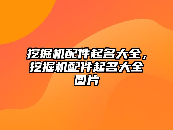 挖掘機配件起名大全，挖掘機配件起名大全圖片