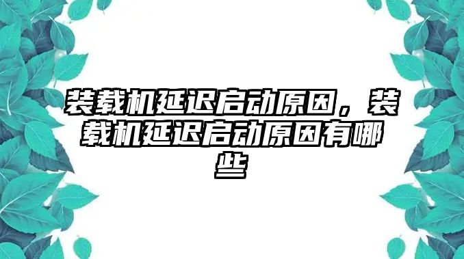 裝載機(jī)延遲啟動(dòng)原因，裝載機(jī)延遲啟動(dòng)原因有哪些