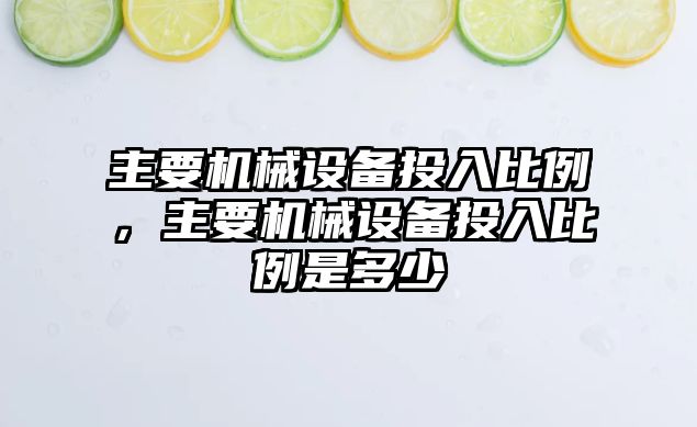 主要機械設備投入比例，主要機械設備投入比例是多少