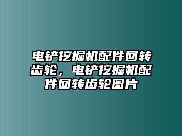 電鏟挖掘機配件回轉(zhuǎn)齒輪，電鏟挖掘機配件回轉(zhuǎn)齒輪圖片