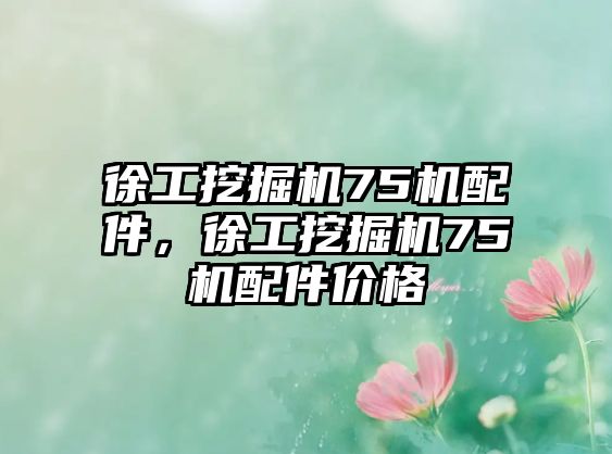 徐工挖掘機(jī)75機(jī)配件，徐工挖掘機(jī)75機(jī)配件價(jià)格