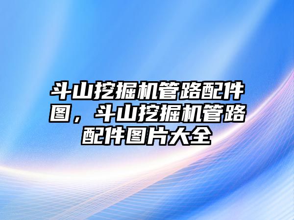 斗山挖掘機(jī)管路配件圖，斗山挖掘機(jī)管路配件圖片大全