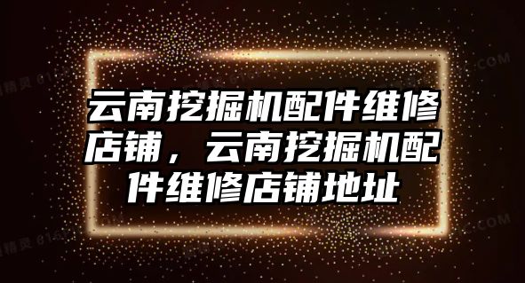 云南挖掘機(jī)配件維修店鋪，云南挖掘機(jī)配件維修店鋪地址