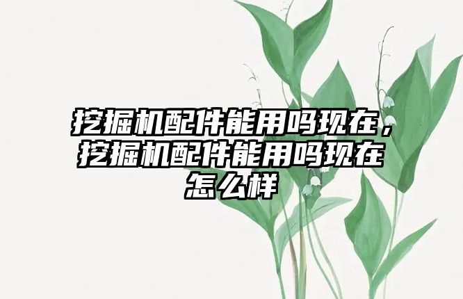 挖掘機配件能用嗎現(xiàn)在，挖掘機配件能用嗎現(xiàn)在怎么樣