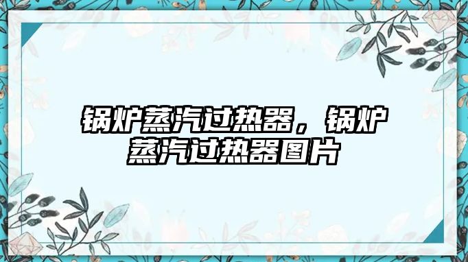 鍋爐蒸汽過熱器，鍋爐蒸汽過熱器圖片