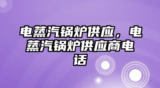 電蒸汽鍋爐供應(yīng)，電蒸汽鍋爐供應(yīng)商電話