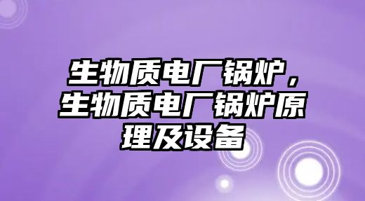 生物質(zhì)電廠鍋爐，生物質(zhì)電廠鍋爐原理及設(shè)備