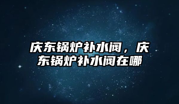 慶東鍋爐補水閥，慶東鍋爐補水閥在哪