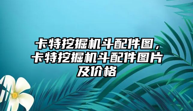 卡特挖掘機(jī)斗配件圖，卡特挖掘機(jī)斗配件圖片及價格