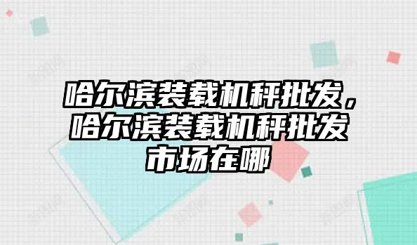 哈爾濱裝載機(jī)秤批發(fā)，哈爾濱裝載機(jī)秤批發(fā)市場(chǎng)在哪