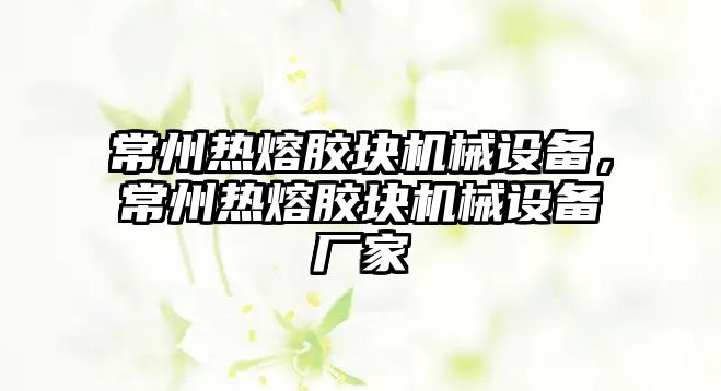 常州熱熔膠塊機械設備，常州熱熔膠塊機械設備廠家