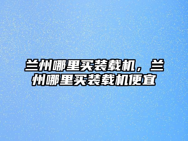 蘭州哪里買裝載機，蘭州哪里買裝載機便宜