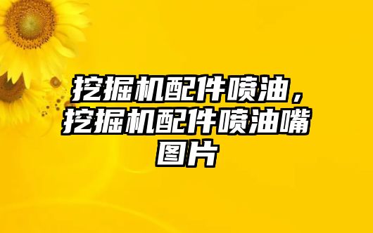 挖掘機配件噴油，挖掘機配件噴油嘴圖片