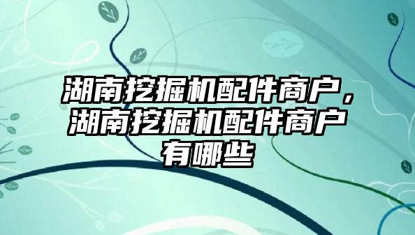 湖南挖掘機配件商戶，湖南挖掘機配件商戶有哪些