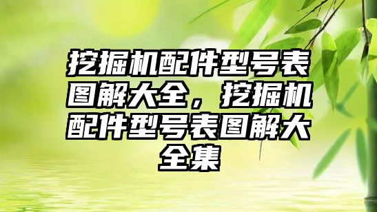 挖掘機配件型號表圖解大全，挖掘機配件型號表圖解大全集