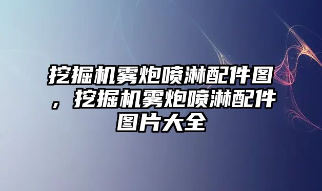 挖掘機霧炮噴淋配件圖，挖掘機霧炮噴淋配件圖片大全