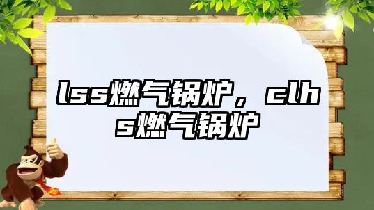 lss燃?xì)忮仩t，clhs燃?xì)忮仩t