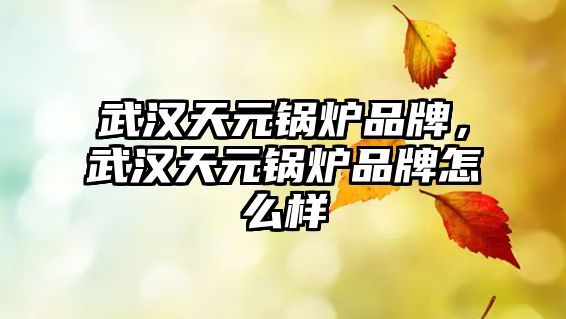 武漢天元鍋爐品牌，武漢天元鍋爐品牌怎么樣