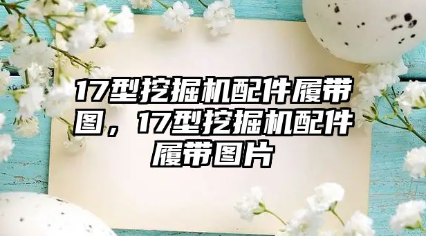 17型挖掘機(jī)配件履帶圖，17型挖掘機(jī)配件履帶圖片