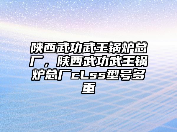 陜西武功武王鍋爐總廠，陜西武功武王鍋爐總廠cLss型號(hào)多重