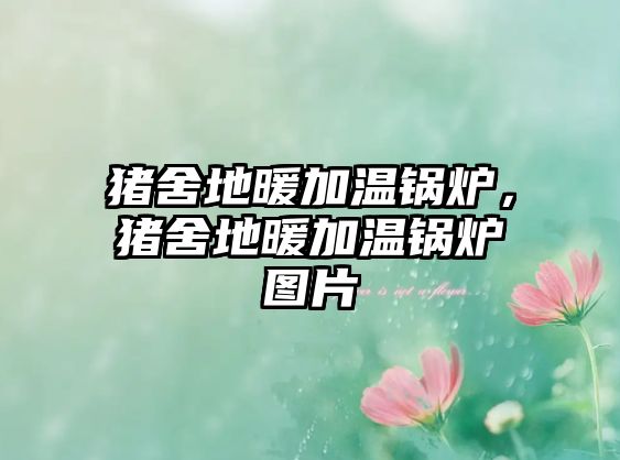 豬舍地暖加溫鍋爐，豬舍地暖加溫鍋爐圖片