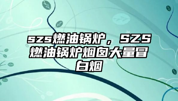 szs燃油鍋爐，SZS燃油鍋爐煙囪大量冒白煙