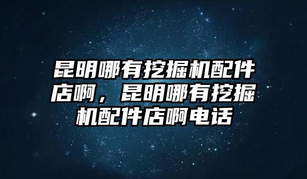 昆明哪有挖掘機(jī)配件店啊，昆明哪有挖掘機(jī)配件店啊電話