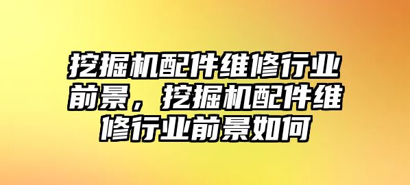 挖掘機(jī)配件維修行業(yè)前景，挖掘機(jī)配件維修行業(yè)前景如何