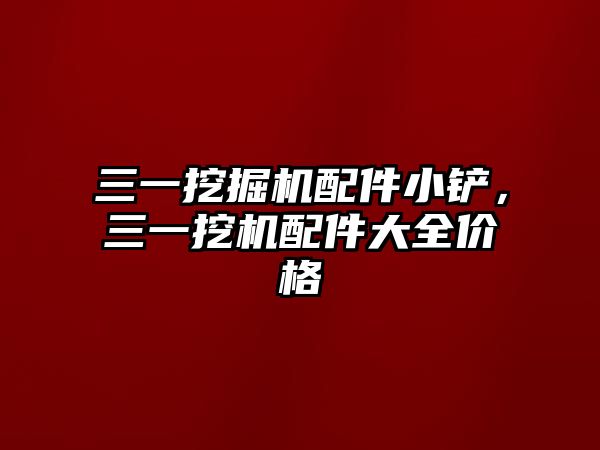 三一挖掘機配件小鏟，三一挖機配件大全價格