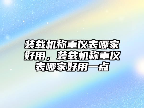 裝載機(jī)稱重儀表哪家好用，裝載機(jī)稱重儀表哪家好用一點(diǎn)