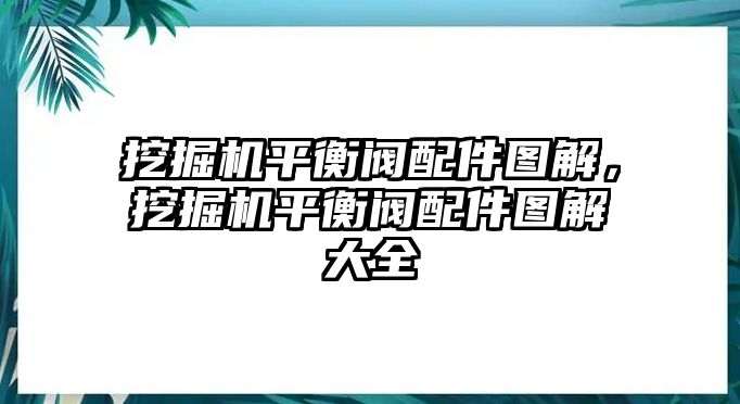 挖掘機平衡閥配件圖解，挖掘機平衡閥配件圖解大全