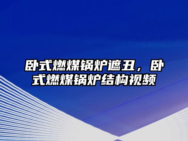 臥式燃煤鍋爐遮丑，臥式燃煤鍋爐結(jié)構(gòu)視頻