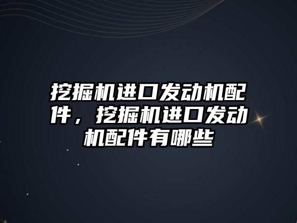 挖掘機進口發(fā)動機配件，挖掘機進口發(fā)動機配件有哪些