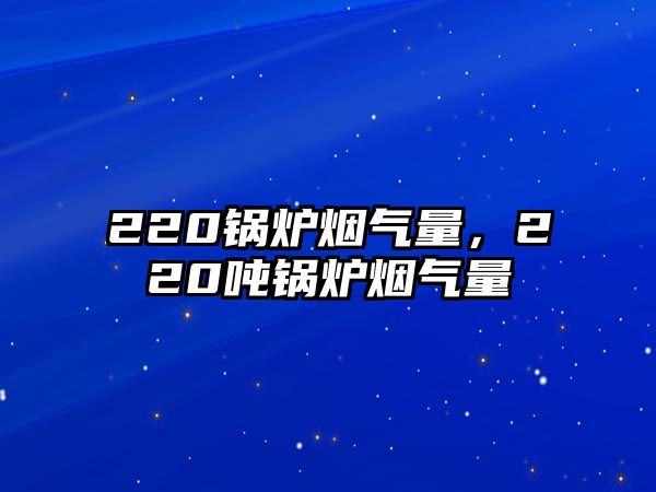 220鍋爐煙氣量，220噸鍋爐煙氣量