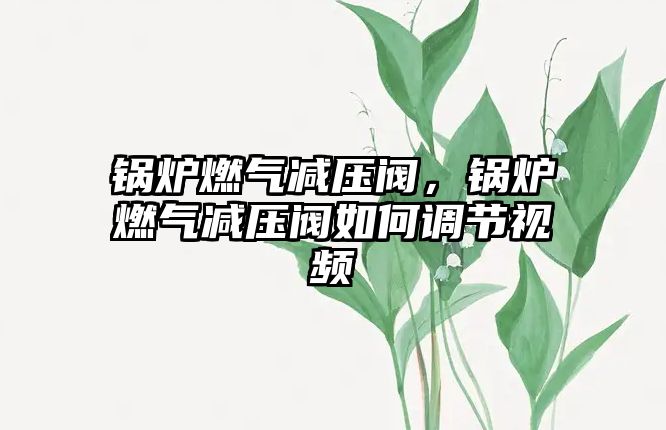 鍋爐燃?xì)鉁p壓閥，鍋爐燃?xì)鉁p壓閥如何調(diào)節(jié)視頻