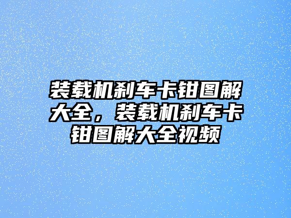 裝載機(jī)剎車卡鉗圖解大全，裝載機(jī)剎車卡鉗圖解大全視頻