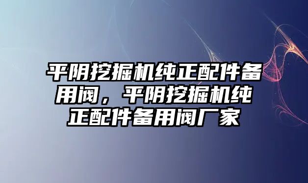 平陰挖掘機(jī)純正配件備用閥，平陰挖掘機(jī)純正配件備用閥廠家