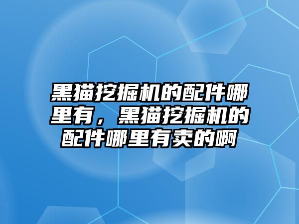 黑貓挖掘機的配件哪里有，黑貓挖掘機的配件哪里有賣的啊