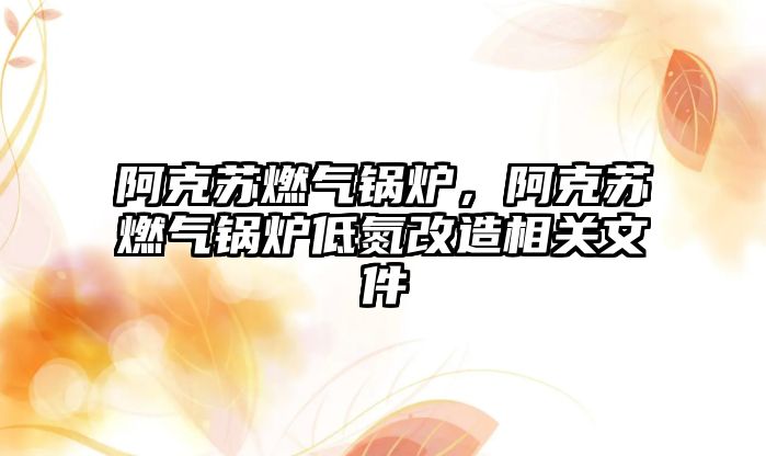 阿克蘇燃?xì)忮仩t，阿克蘇燃?xì)忮仩t低氮改造相關(guān)文件