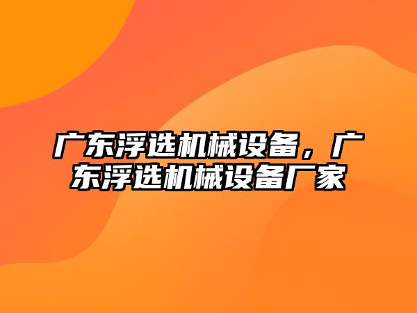 廣東浮選機(jī)械設(shè)備，廣東浮選機(jī)械設(shè)備廠家