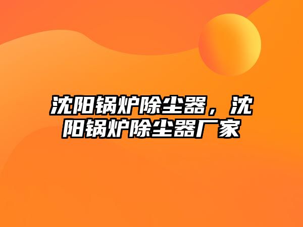 沈陽(yáng)鍋爐除塵器，沈陽(yáng)鍋爐除塵器廠家