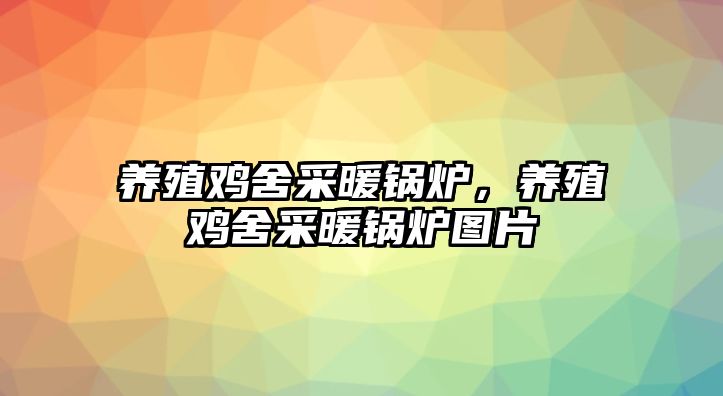 養(yǎng)殖雞舍采暖鍋爐，養(yǎng)殖雞舍采暖鍋爐圖片