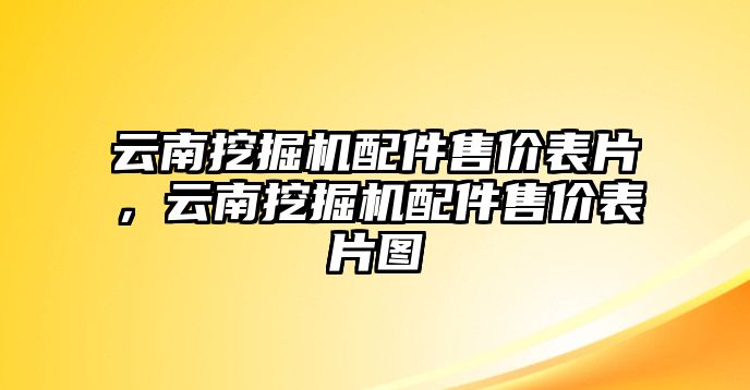 云南挖掘機配件售價表片，云南挖掘機配件售價表片圖