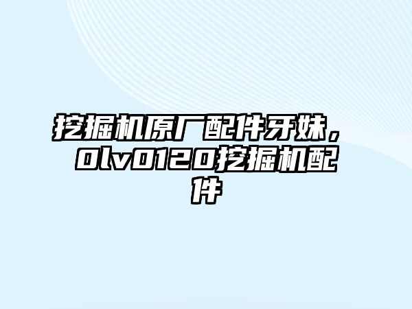 挖掘機原廠配件牙妹，ⅴ0lv0120挖掘機配件