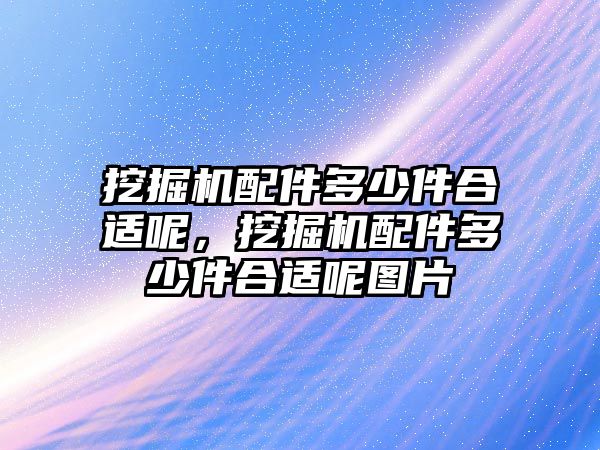 挖掘機配件多少件合適呢，挖掘機配件多少件合適呢圖片