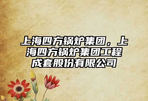 上海四方鍋爐集團(tuán)，上海四方鍋爐集團(tuán)工程成套股份有限公司